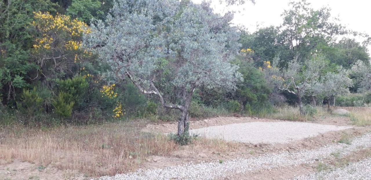 Agricampeggio Borgo Agna San Giustino Valdarno Luaran gambar